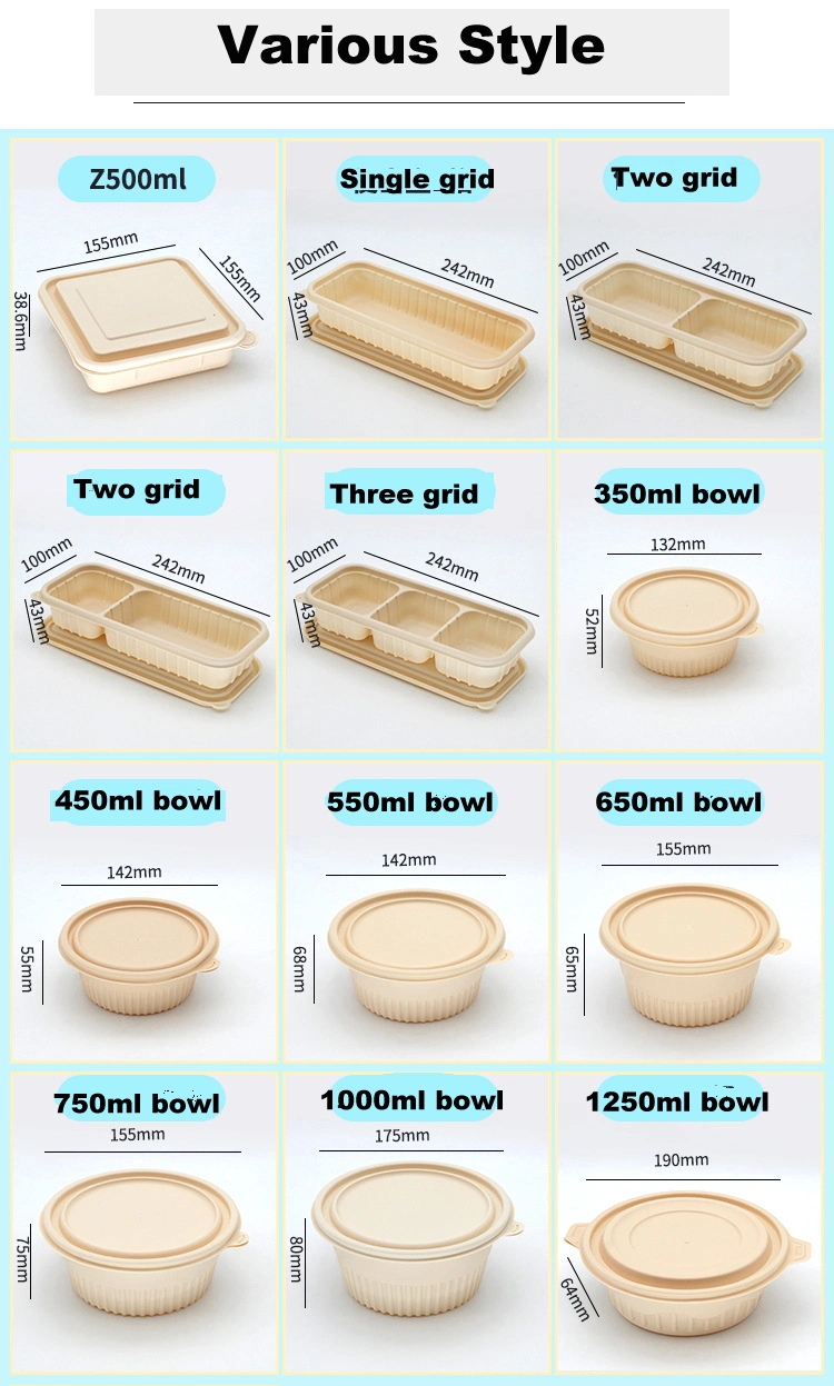 Disposable Food Container Wholesale Cornstarch Surgarcane Bagasse Storage Biodegradable Bento Take Away Fast Lunch Box with Lid