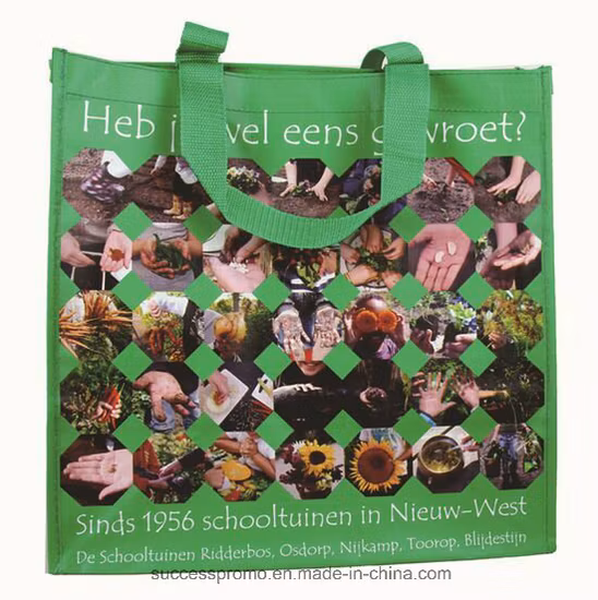 PP Woven Laminated Promotional Bag with Webbing Handle