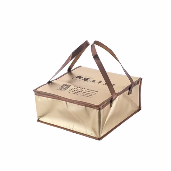 Customized Can Organiser Cooler Box Food Delivery Bag Non-Woven Picnic Lunch Tote Large Thermal Insulated Grocery Shopping Cooler Ice Bags
