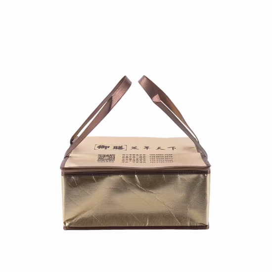 Customized Can Organiser Cooler Box Food Delivery Bag Non-Woven Picnic Lunch Tote Large Thermal Insulated Grocery Shopping Cooler Ice Bags