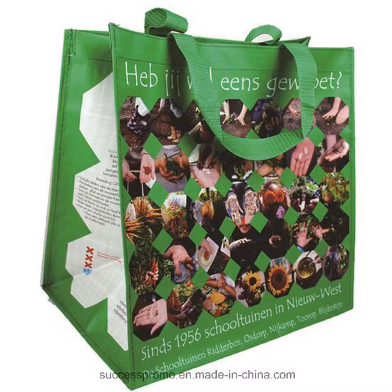 PP Woven Laminated Promotional Bag with Webbing Handle