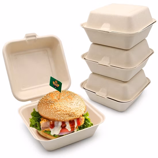 Compostable Disposable Food Container Eco